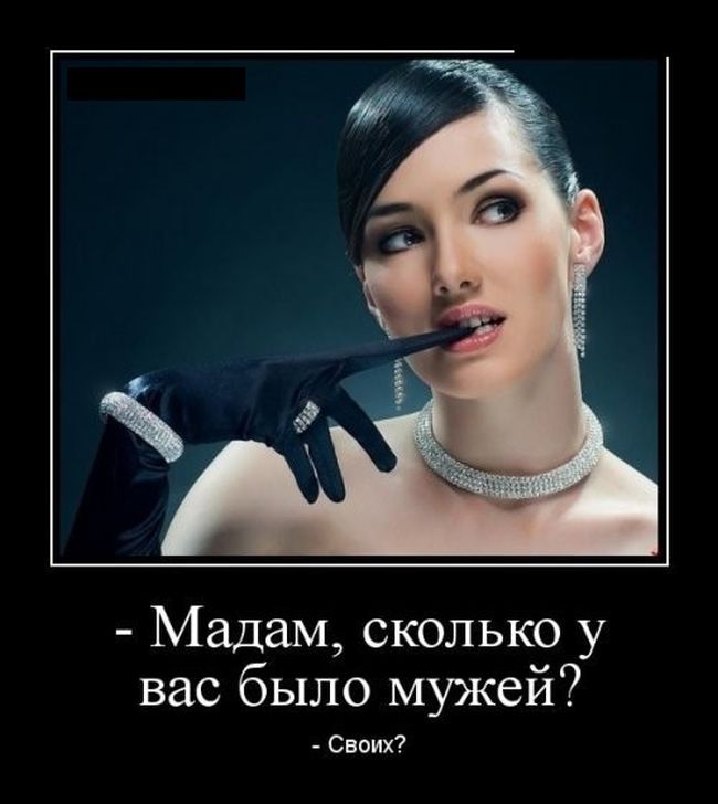 Мадам сколько у вас было мужей Своих