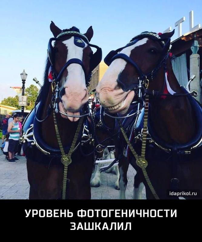 УРОВЕНЬ ФОТОГЕНИЧНОСТИ ЗАШКАЛИЛ