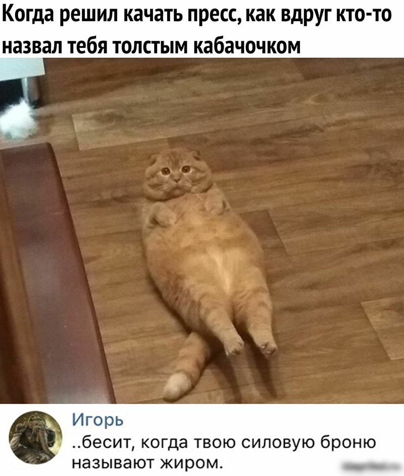 когда решил КЗЧЗТЬ ПРЕСС как вдруг КТО ТО назвал тебя толстым кабачочком Игорь бесит когда твою силовую броню называют жиром _