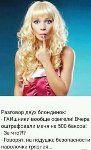 Разговор двух блондинок ГАИшники вообще офигели Вчера ошграфпвапи меня а зип баксов За 07 Говорят на Подушка безопасности наволочка грязная