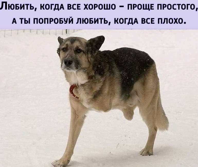 ЛЮБИТЬ КОГДА ВСЕ ХОРОШО ПРОЩЕ ПРОСТОГО А ТЫ ПОПРОБУЙ ЛЮБИТЬ КОГДА ВСЕ ПЛОХО __ _ __ _ ___
