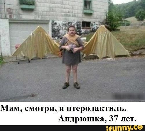 КИМ смотри я птеродакгпль Андрюшка 37 лет