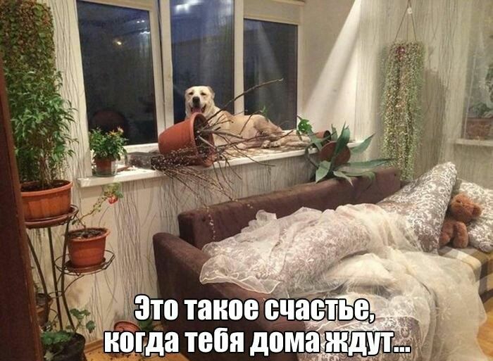 линда тебя дома _