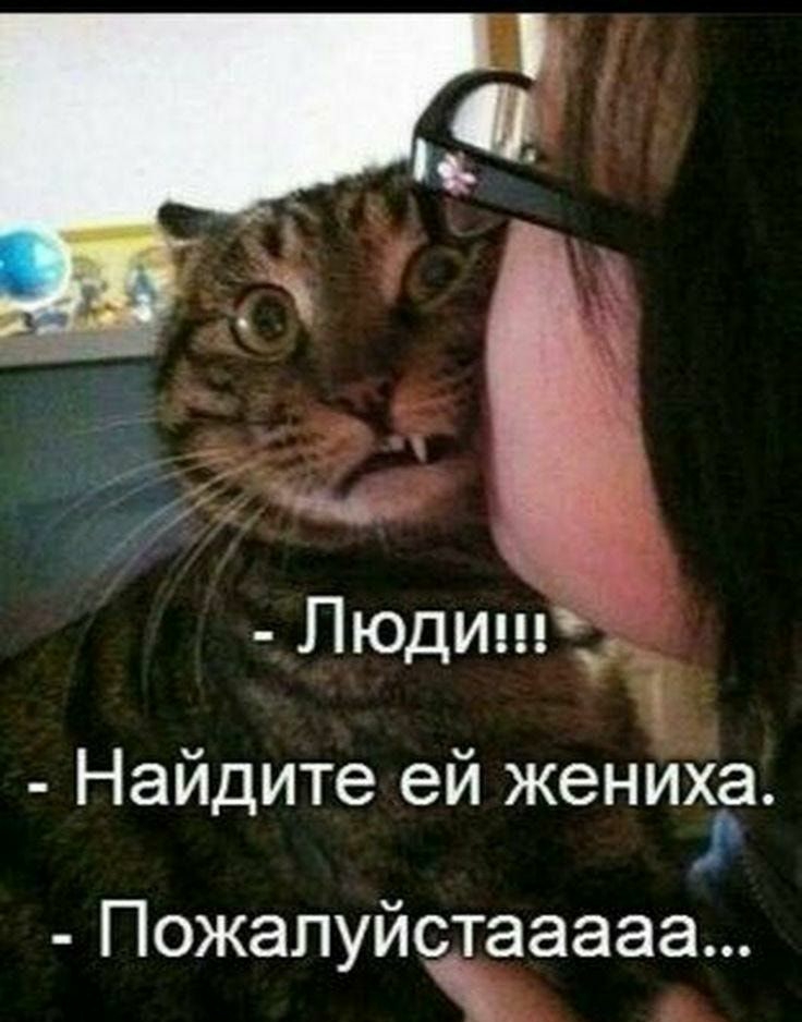 Пюдиші Найдите ей женщга ПожалуйЧааааа