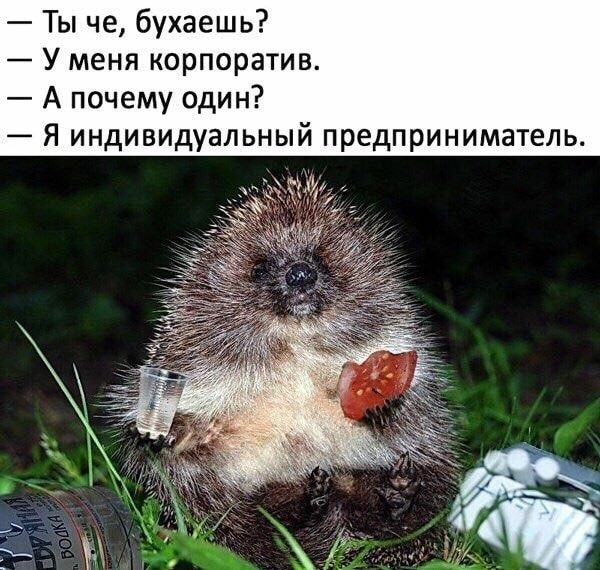 Ты че бухаешь У меня корпоратив А почему один Я индивидуальный предприниматель