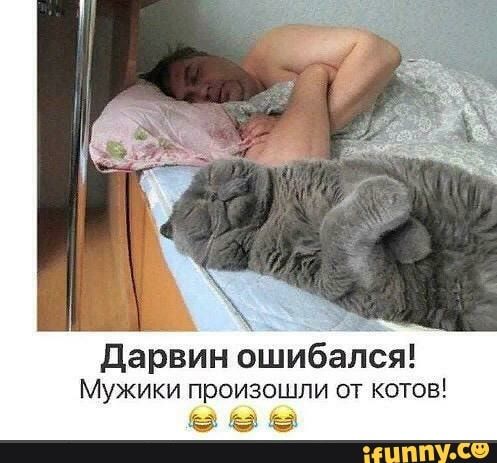 дарвин ошибался Мужики произошли от котов