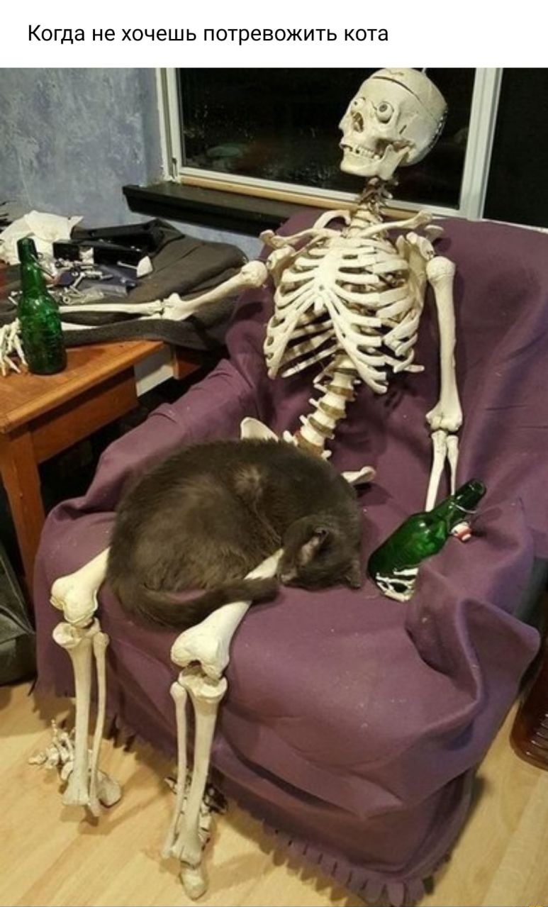 а Т 0 К Ь Т и ж 0 В е о Т О П В Ш 6 Ч 0 Х 6 Н Ш 0 К
