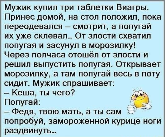 Мужик купил три таблетки Виагры Принес домой на стол положил пока переодевался смотрит а попугай их уже склевал От злости схватил попугая и засунул в морозилку Через полчаса отошёл от злости и решил выпустить попугая Открывает морозилку а там попугай весь в поту сидит Мужик спрашивает Кеша ты чего Попугай Федя твою мать а ты сам і попробуй за мороженной курице ноги раздвинуть