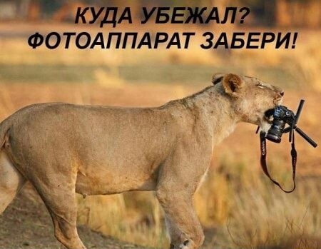 Щт ФОТОАППАРАТ ЗАВЕРИ