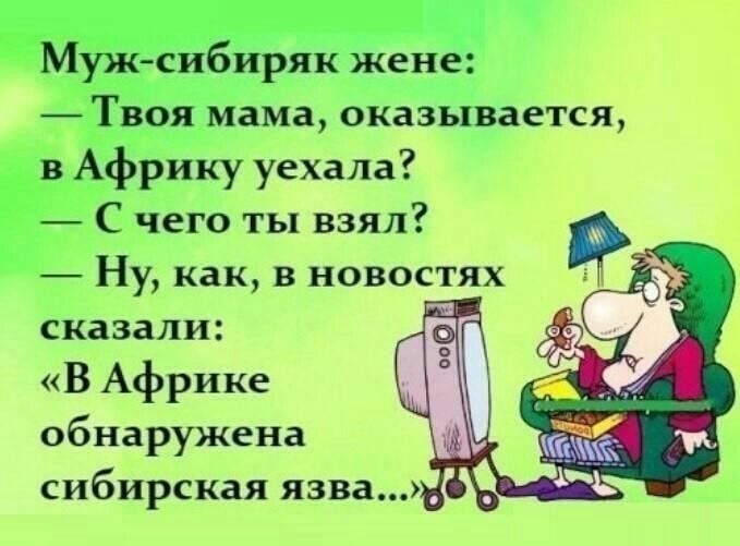 ЁМужсибиряк жене Твоя мама оказывается _в Африку уехала С чего ты взял Ну как в новостях сказали В Африке обнаружена
