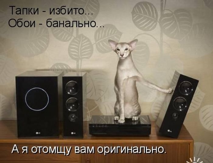 ригйі Тапвно