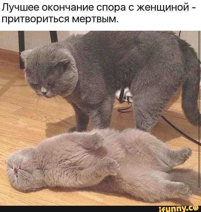 лучшее окончание спора С женщиной притвориться МЭРТВЫМ