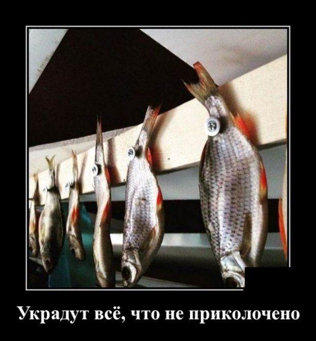 Украдут всё что не приколочено