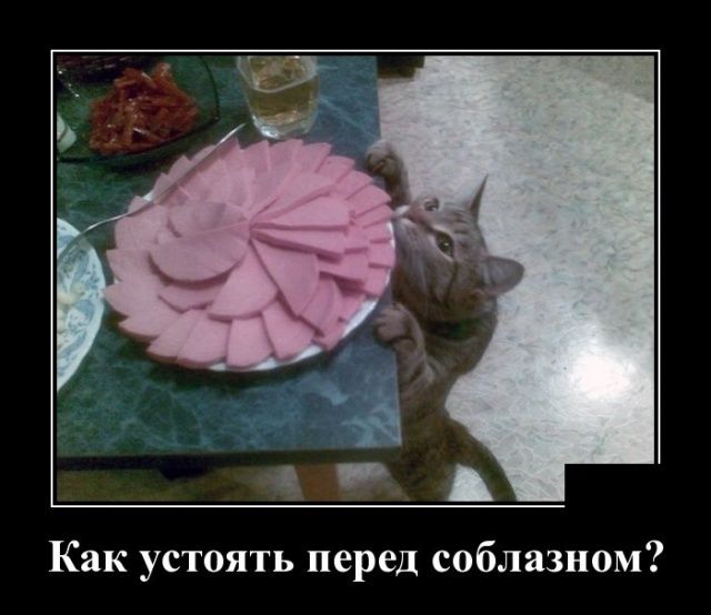 А_А Как устоять перед соблазном