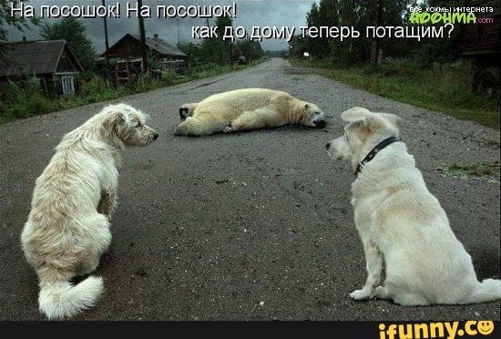 чат еперь потащим Дюйм дб