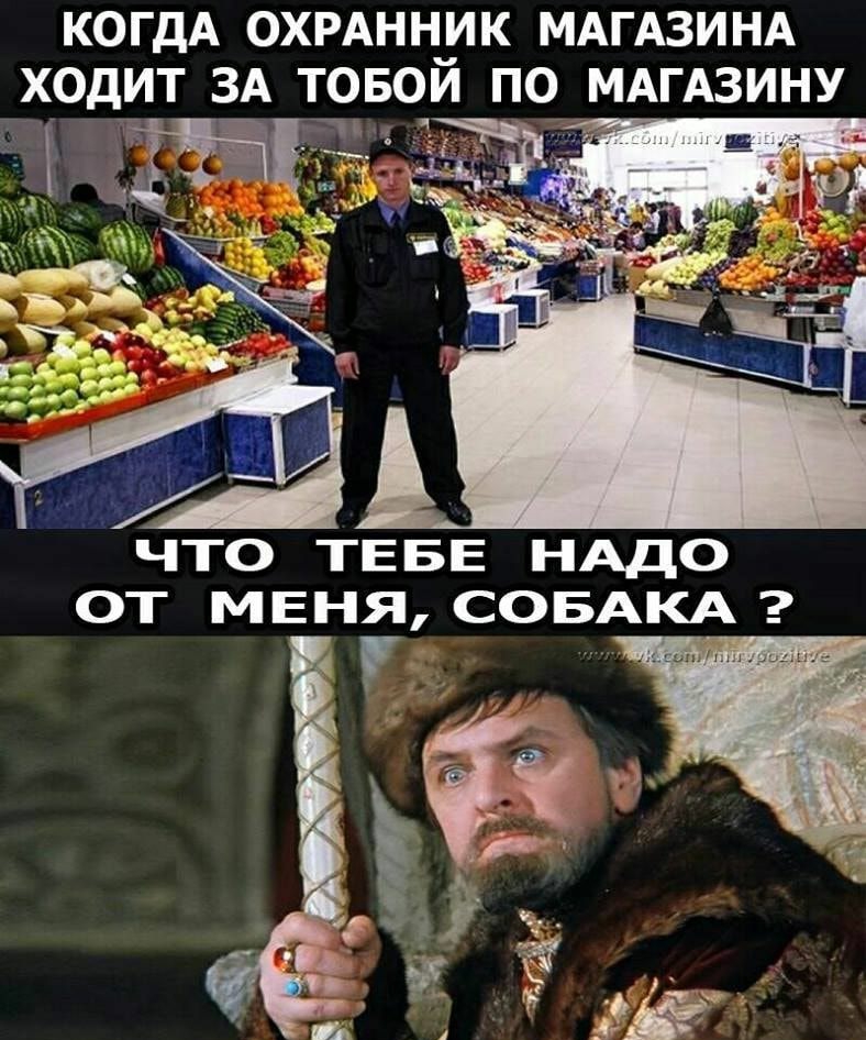 КОГДА ОХРАННПИК МАГАЗИНА ХОДИТ ЗА ТОБОИ ПО МАГАЗИНУ гп д 3 Чй пдд г ЧТО ТЕБЕ НАДО ОТ МЕНЯ СОБАКА