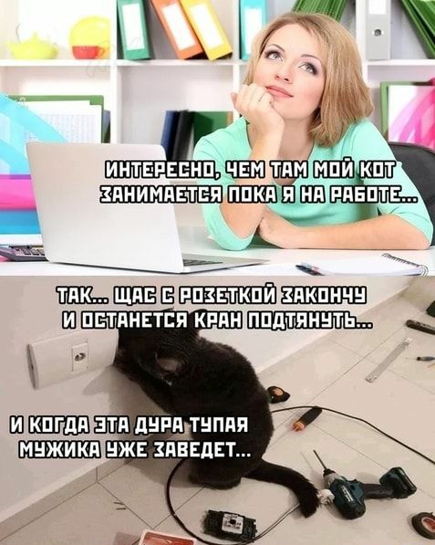 Ш ип днппдтнппя ШШ иж зпввдст