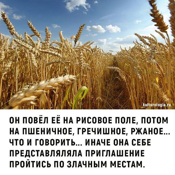 Кппитіоціяжп ОН ПОВЁП ЕЕ НА РИСОВОЕ ПОЛЕ ПОТОМ НА ПШЕНИЧНОЕ ГРЕЧИШНОЕ РЖАНОЕ ЧТО И ГОВОРИТЬ ИНАЧЕ ОНА СЕБЕ ПРЕДСТАВЛЯЛЯЛА ПРИГЛАШЕНИЕ ПРОИТИСЪ ПО ЗЛАЧНЫМ МЕСТАМ