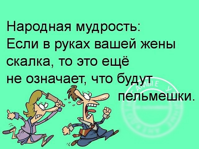 Народная мудрость Если в руках вашей жены скапка то это ещё не означает что будут пельмешки