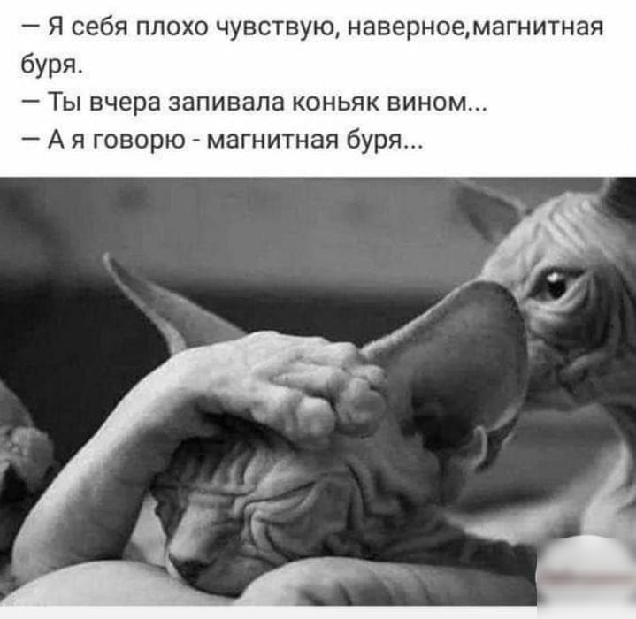 Я себя плохо чувствую наверноемагнитная буря Ты вчера запивала коньяк вином А я говорю магнитная буря