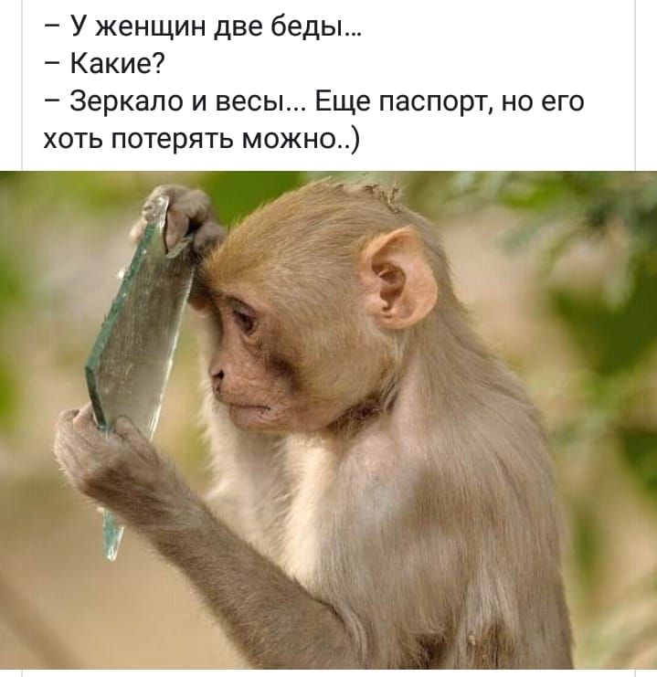 У женщин две беды Какие Зеркало и весы Еще паспорт но его хоть потерять можно