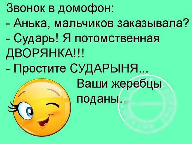 Звонок в домофон Анька мальчиков заказывала Сударь Я потомственная дВОРЯНКА Простите СУДАРЫНЯ Ваши ж подан