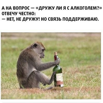 А нд вопрос дружу ли я АЛКОГОЛЕМ отвечу честно ип не дружи но связь поддврживдю