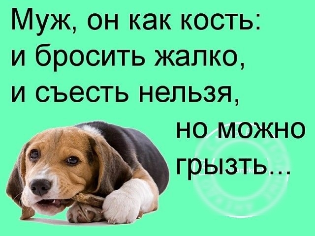 Муж он как кость и бросить жалко и съесть нельзя но можно грызть