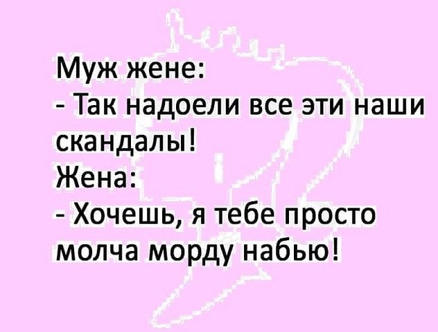 Муж жене Так надоели все эти наши скандалы Жена Хочешь я тебе просто молча морду набью