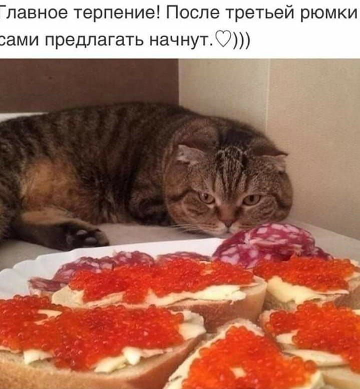 павное терпение После третьей рюмки ами предлагать начнут
