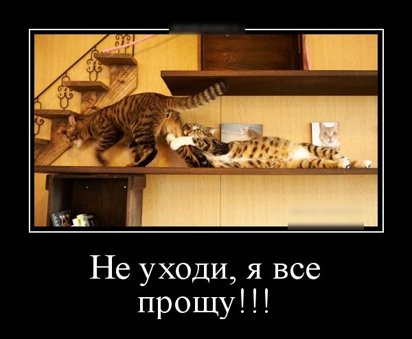 Не уходи я все прощу