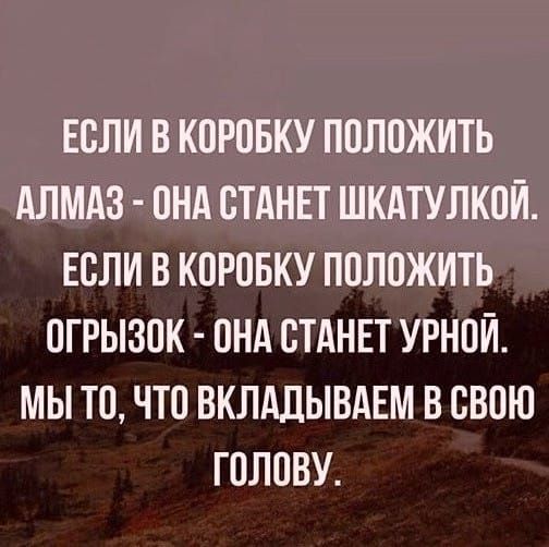 ЕОЛИ В КОРОБКУ ПОЛОЖИТЬ АЛМАЗ ОНА СТАНЕТ ШКАТУЛКОЙ ЕОЛИ В КОРОБКУ ПОЛОЖИТЬ ОГРЫЗОК ОНА СТАНЕТ УРНОЙ МЫ ТО ЧТО ВКЛАДЫВАЕМ В ОВОЮ ГОЛОВУ