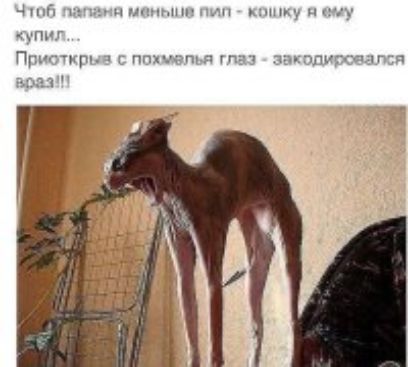 4г м с При штл г ппхччптг чипу