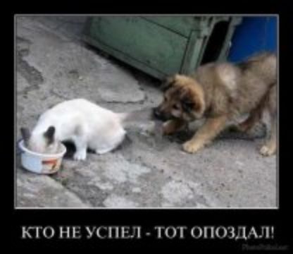 КТО НЕ УСПП 11 ТОТ ПОЗЦАЛ