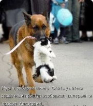 мы мы 53 ым щдгуцп нпш