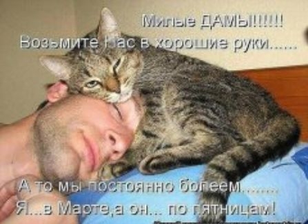 мы ще или Ь ш 1 Г