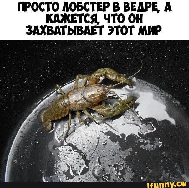 ПРОСТО АОБСТЕР В ВЕАРЕ А КАЖЕТСЯ ЧТО ОН ЗАХВАТЫВАЕТ ЭТОТ МИР