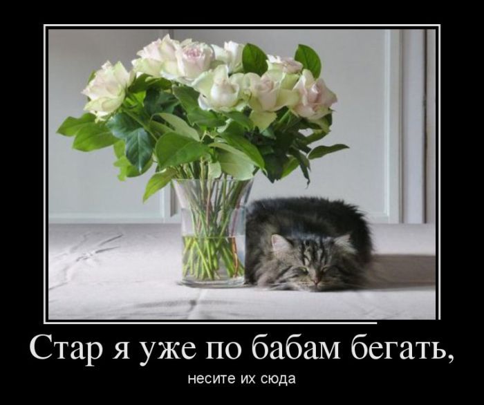 Стар я уже по бабам бегать НЕСИТЭ ИХ сюда
