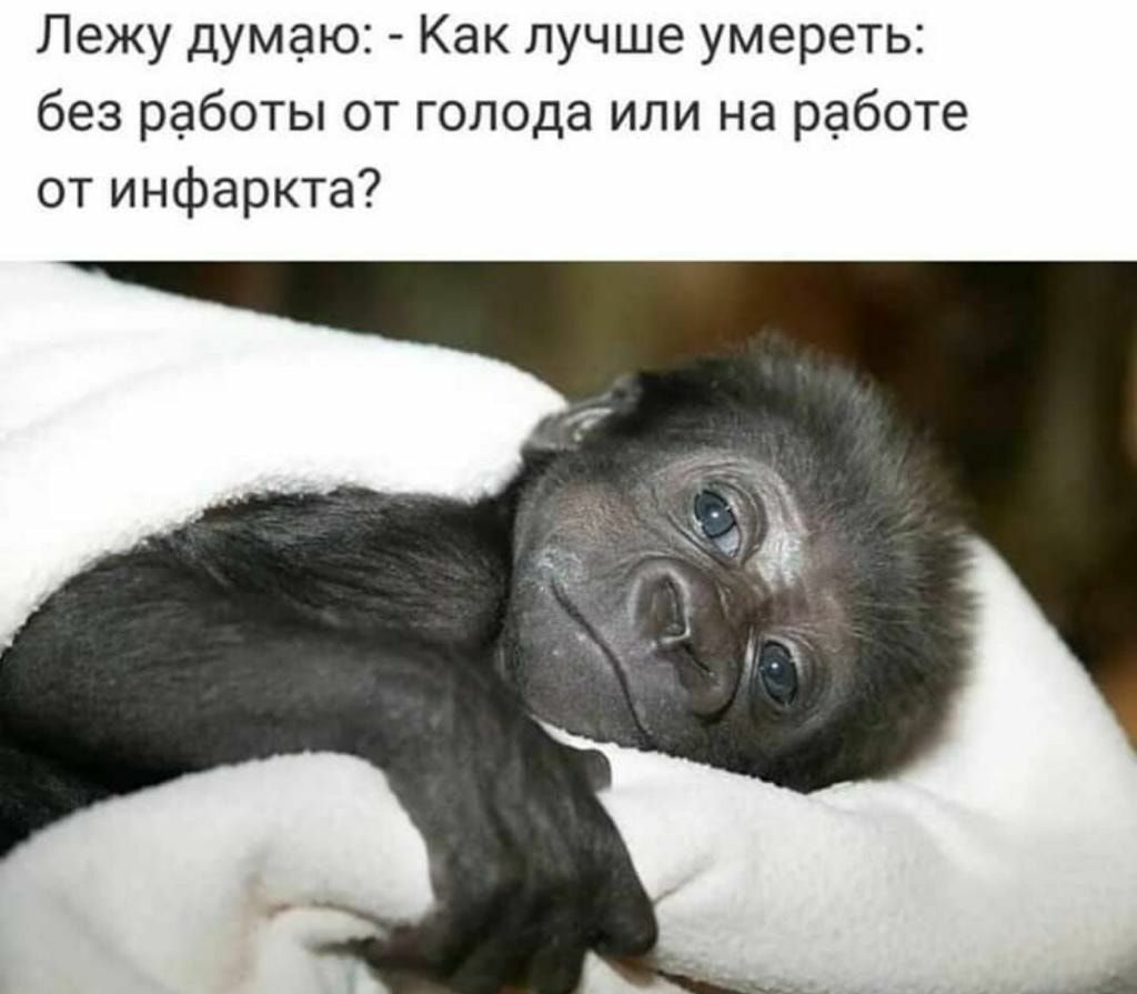 Лежу думаю Как лучше умереть без работы от голода или на работе от инфаркта