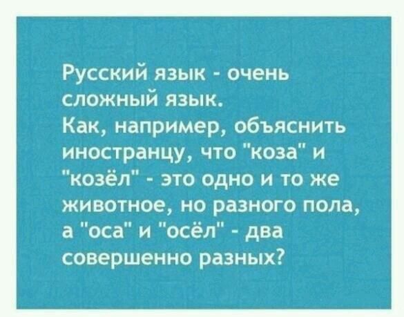 Русский язык очень сложный язык Как например объяснить иностранцу что коза и козёл это одно и то же животное но разного пола а оса и осёл два совершенно разных