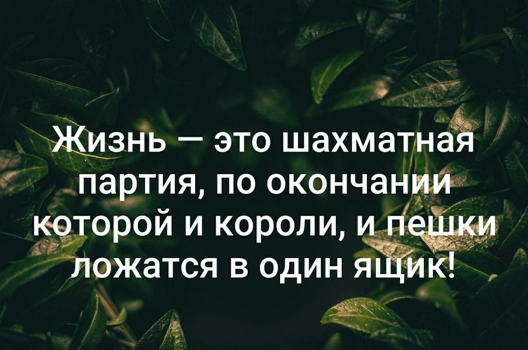 б ЪЖЩзнь это шаХМдгнаЁ партия по ОКОНЧЗНЁЙТЁ ЁЁТОрой и короли цГГ С Лажатся в Один _ 45