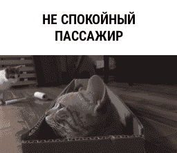 НЕ спокойный ПАССАЖИР