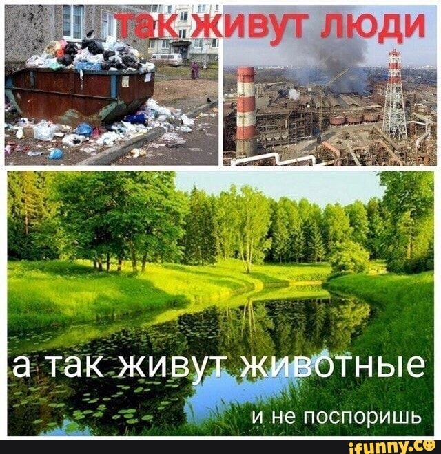 живут люди атакживТн ые И не ПОСПОРИШЬ