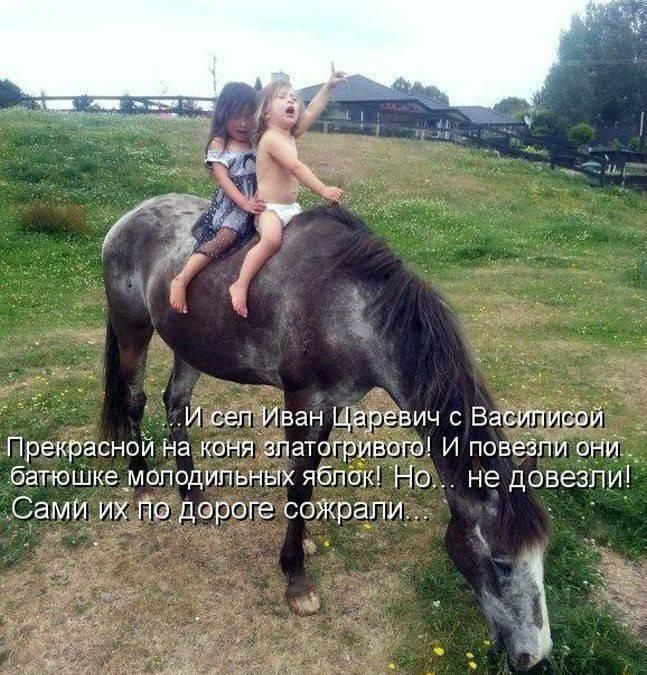 батюШке _моподипьных яблок Но не довезти Сами их _гщ дороге соЖрапи