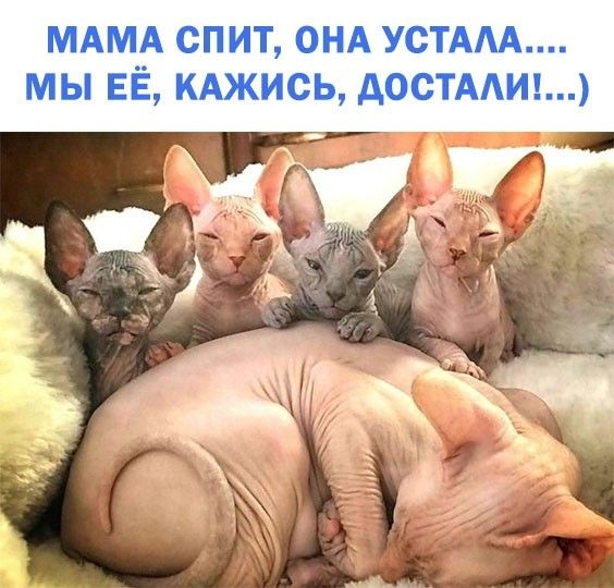 МАМА СПИТ ОНА УСТААА МЫ ЕЁ КАЖИСЬ АОСТААИ