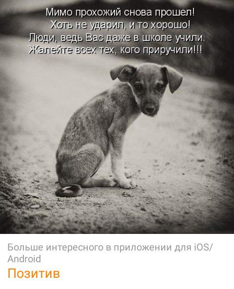 Мимо прохожий снова прошел то хорошо Е Ь В ШКОЛЕ УЧИПИ Капеугге в Х кого ПРИРУЧИПИЩ