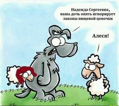 Надежда Сергеевна ипніа дичь опять игнорирует зикппы пищевой цепочки