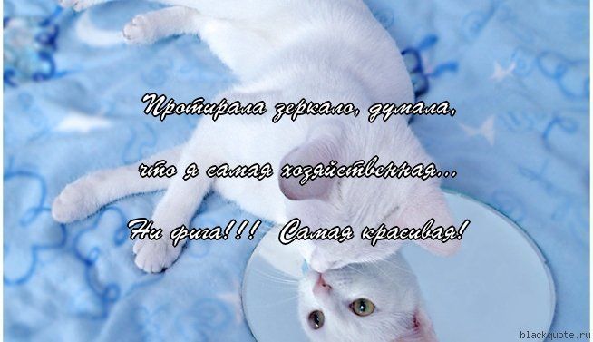 3 7тмш ф к О