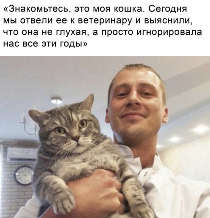 знакомьтесь ЭТО МОЯ КОШКЭ Сегодня МЫ отвели ее К ветеринару И ВЫЯСНИПИ ЧТО она не ГПУХЭЯ а ПРОСТО игнорировала нас все ЭТИ ГОДЫ