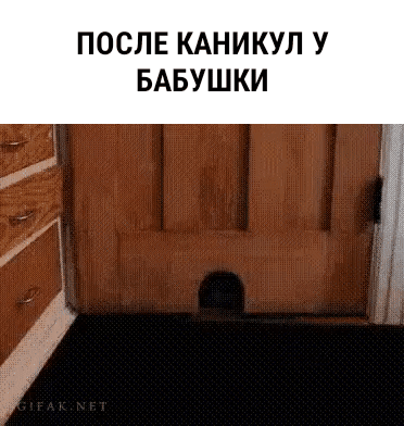 ПОСЛЕ КАНИКУЛ У БАБУШКИ